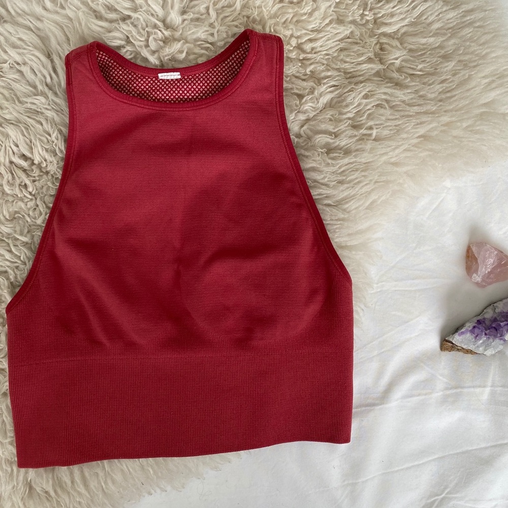 Avocado Earth Crop Bra